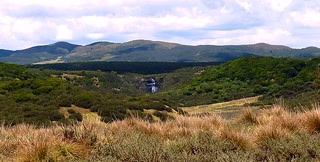 Aberdare national park