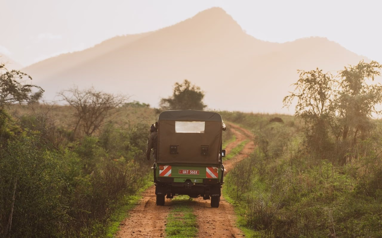 Distance Between Volcanoes National Park and Bwindi Impenetrable Forest