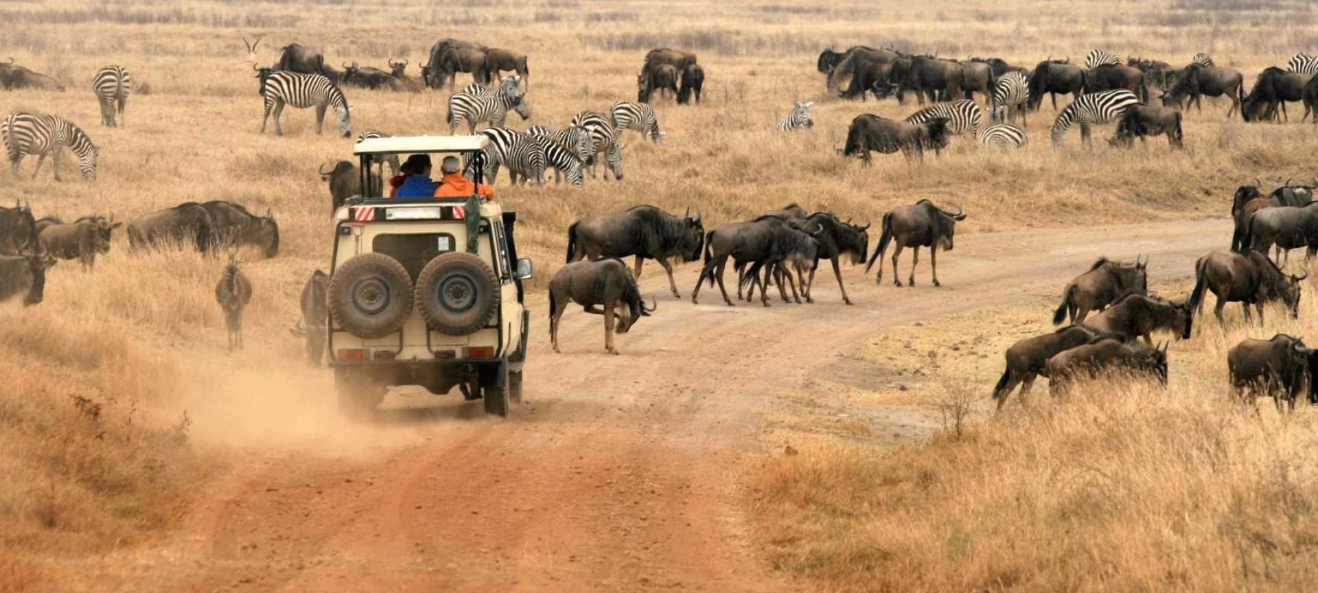 Safest Places to Visit in Africa