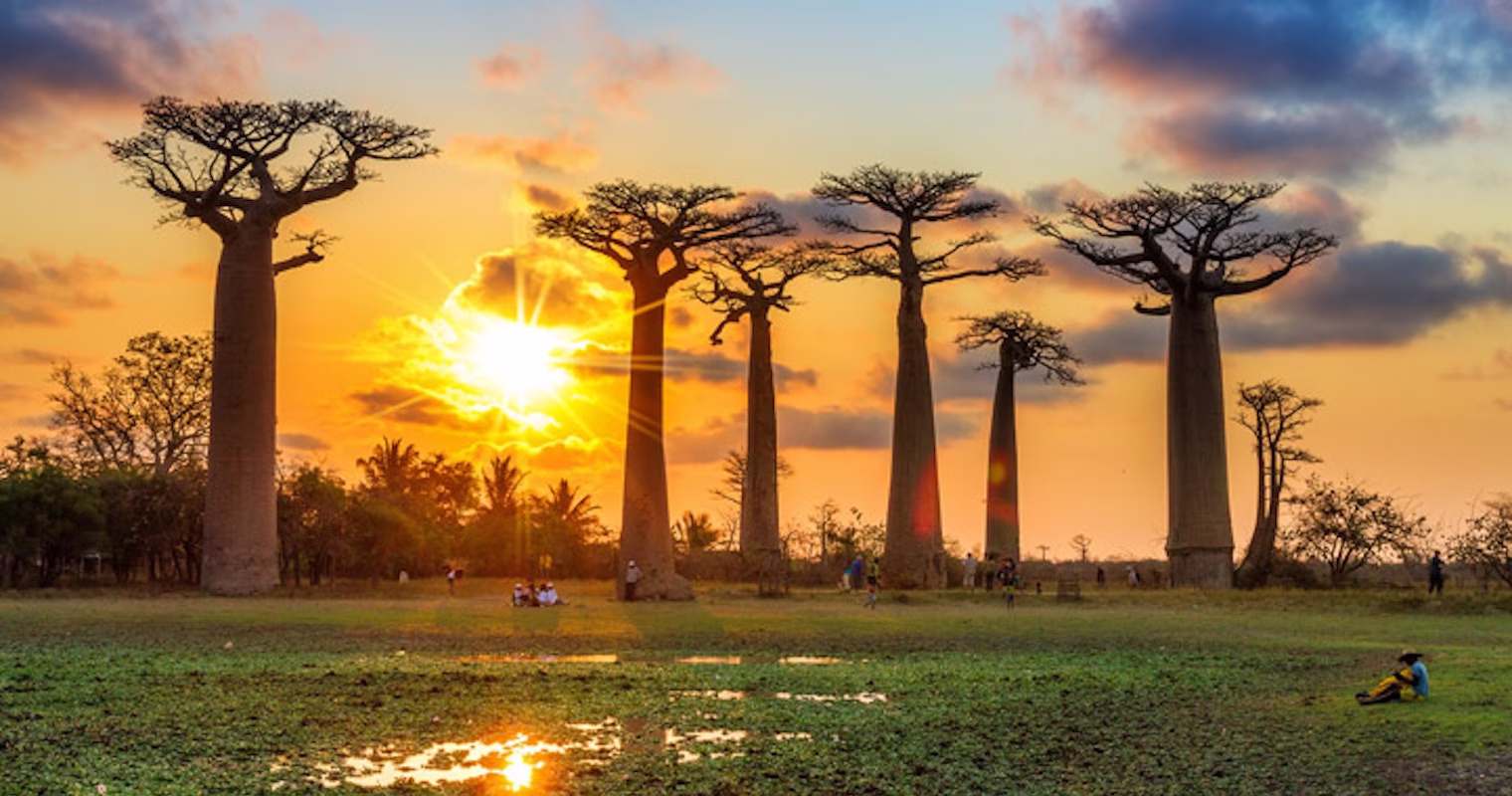 Best countries for wildlife spotting