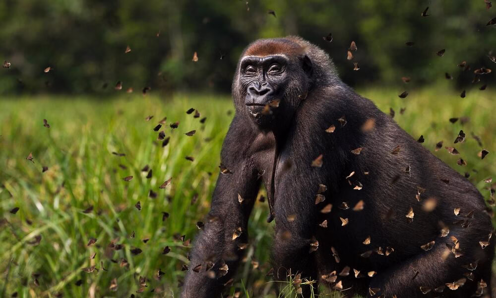 Second Smallest National Park in Uganda