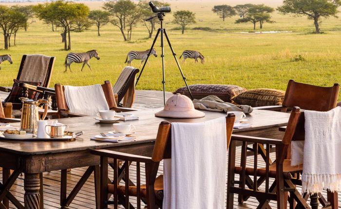 Safari Adventure