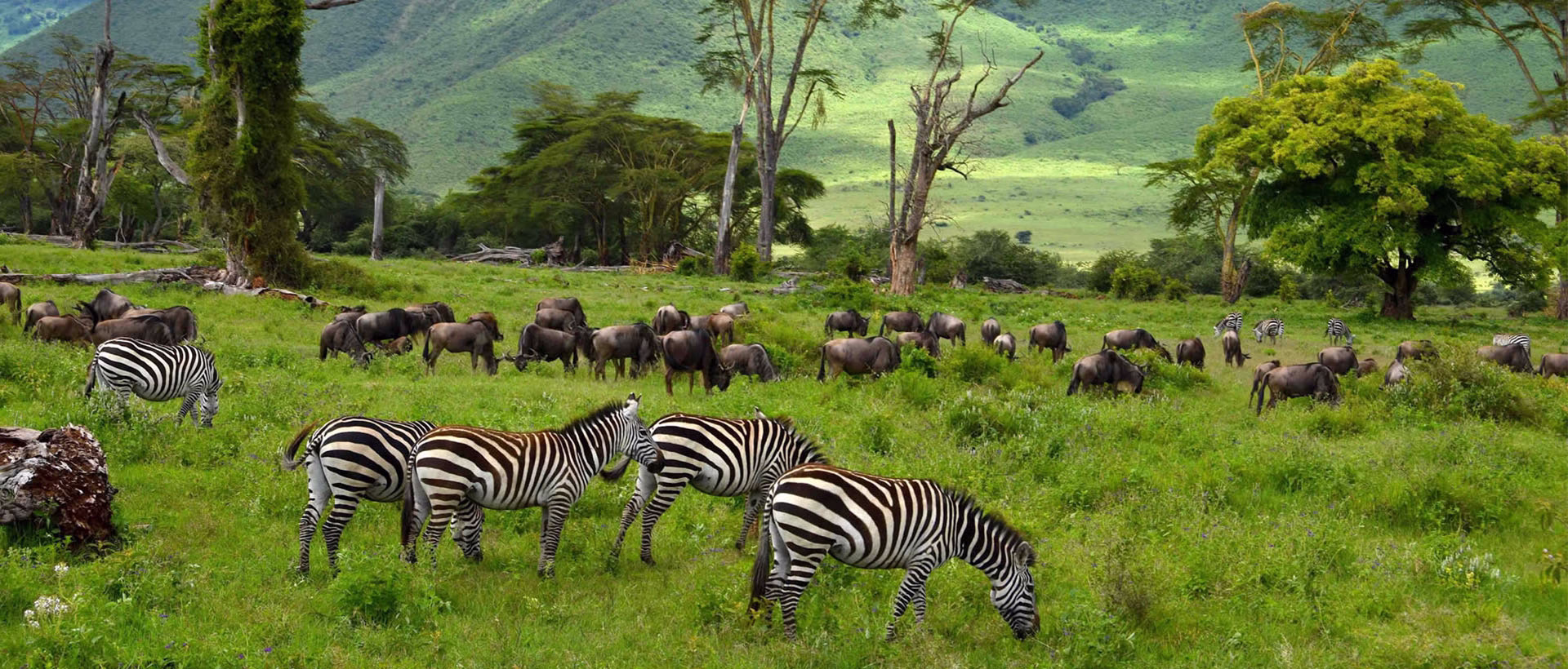 Best walking safaris in Africa