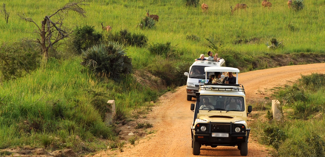 Game Drives in Queen Elizabeth National Park