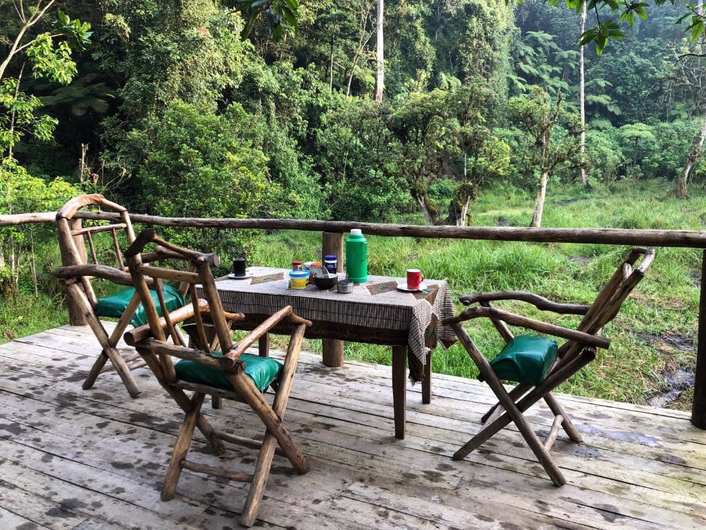 Nshongi Forest Camp