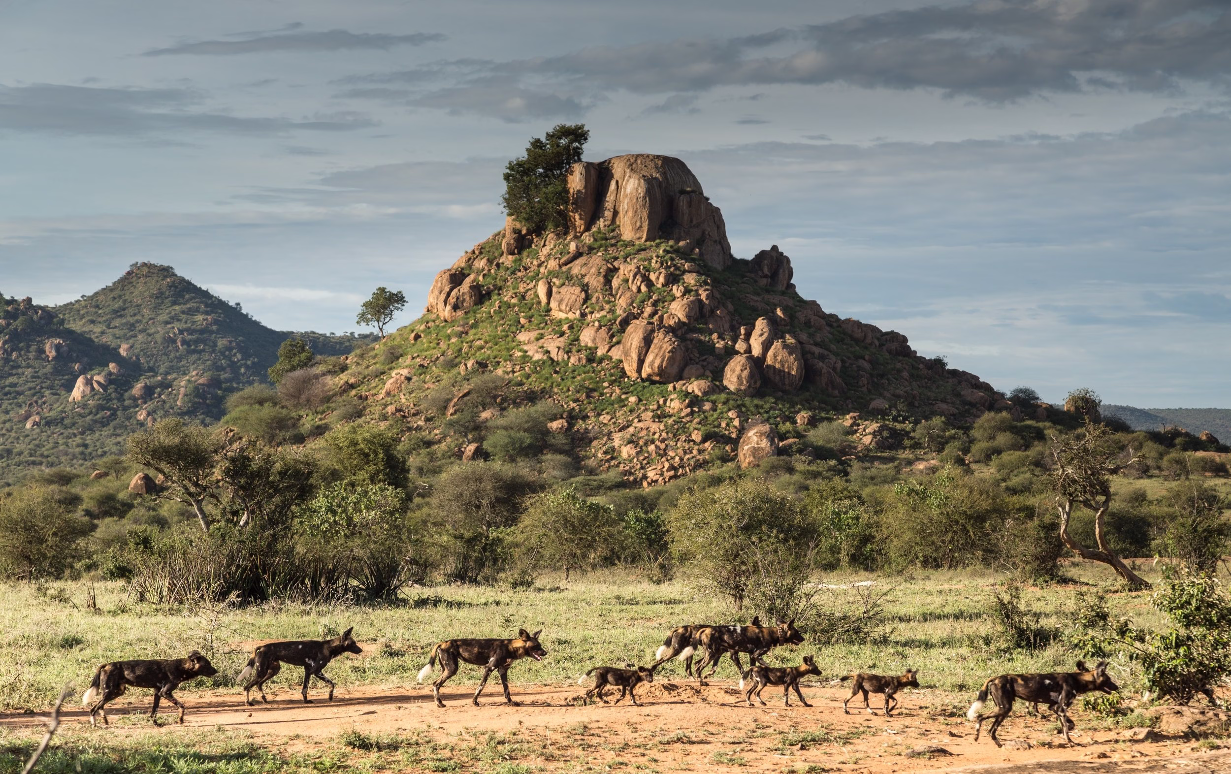 Best walking safaris in Africa