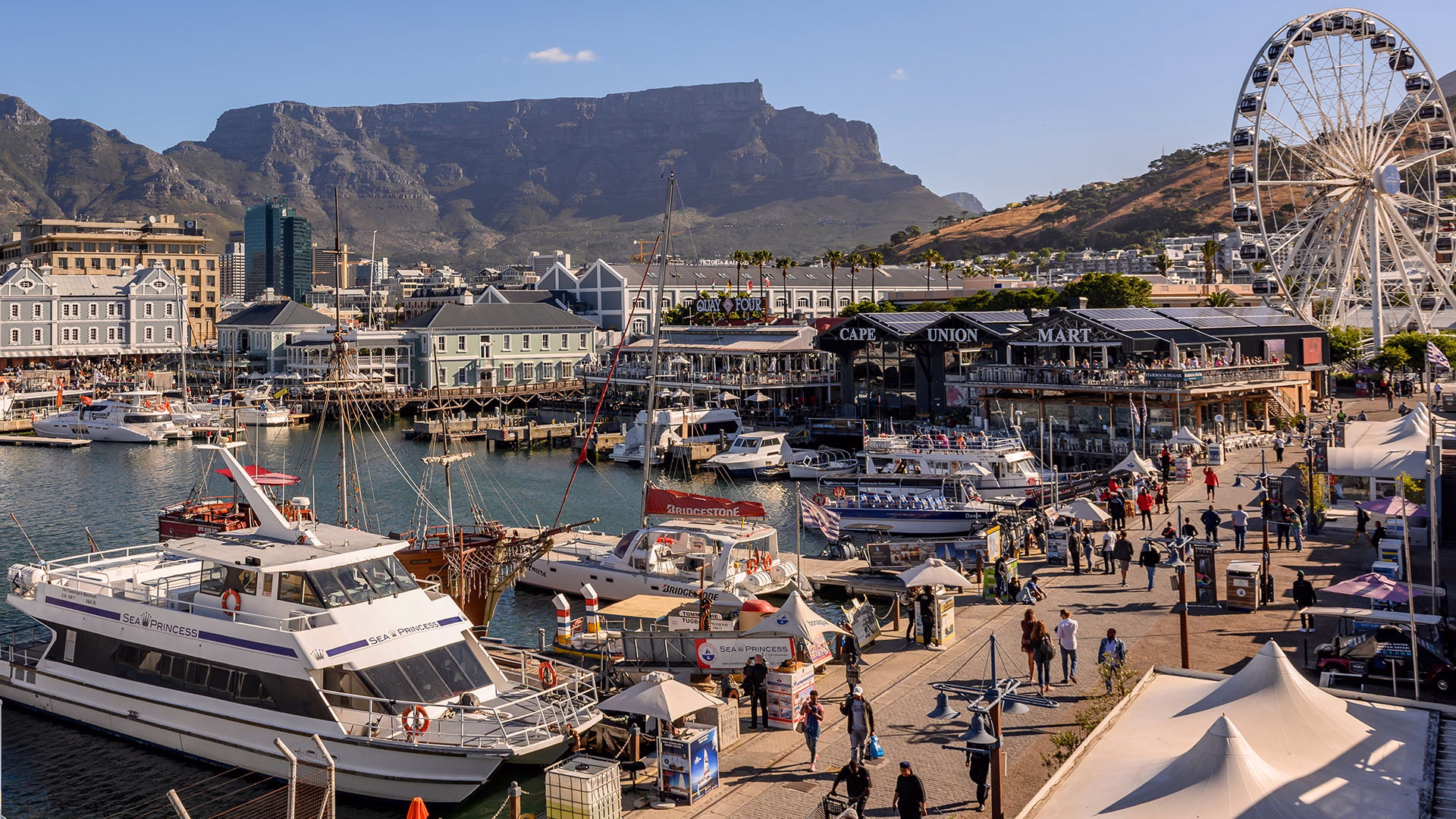 Big Seven Cape Town