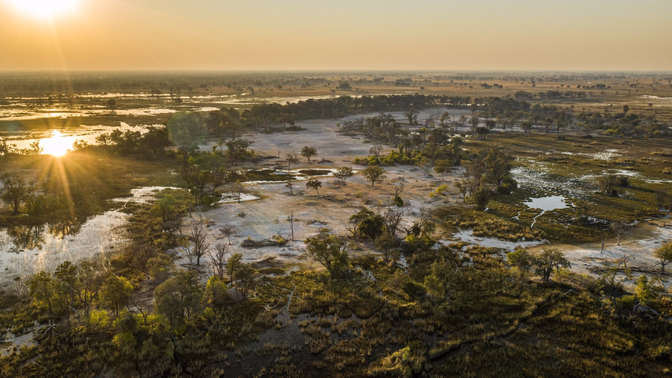 Best Botswana national parks for safari