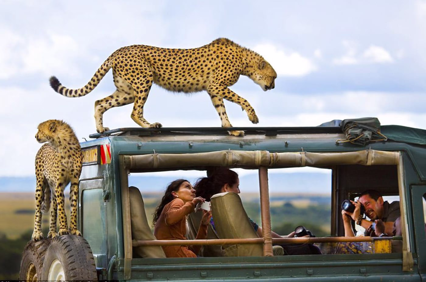 Vehicle Etiquette on Safari