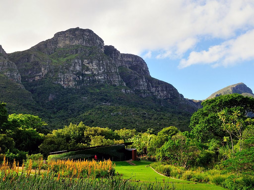 Big Seven Cape Town