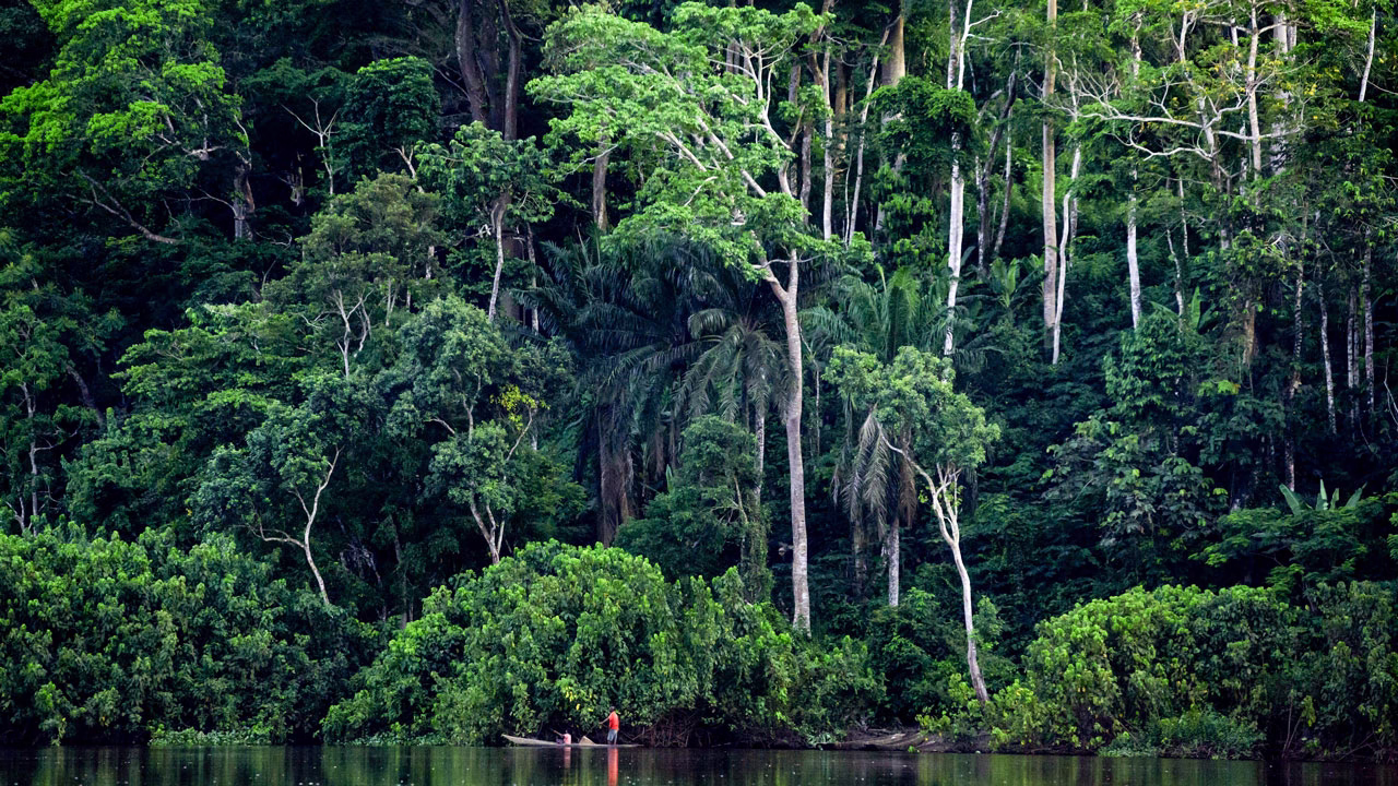 Reasons to Travel to Congo