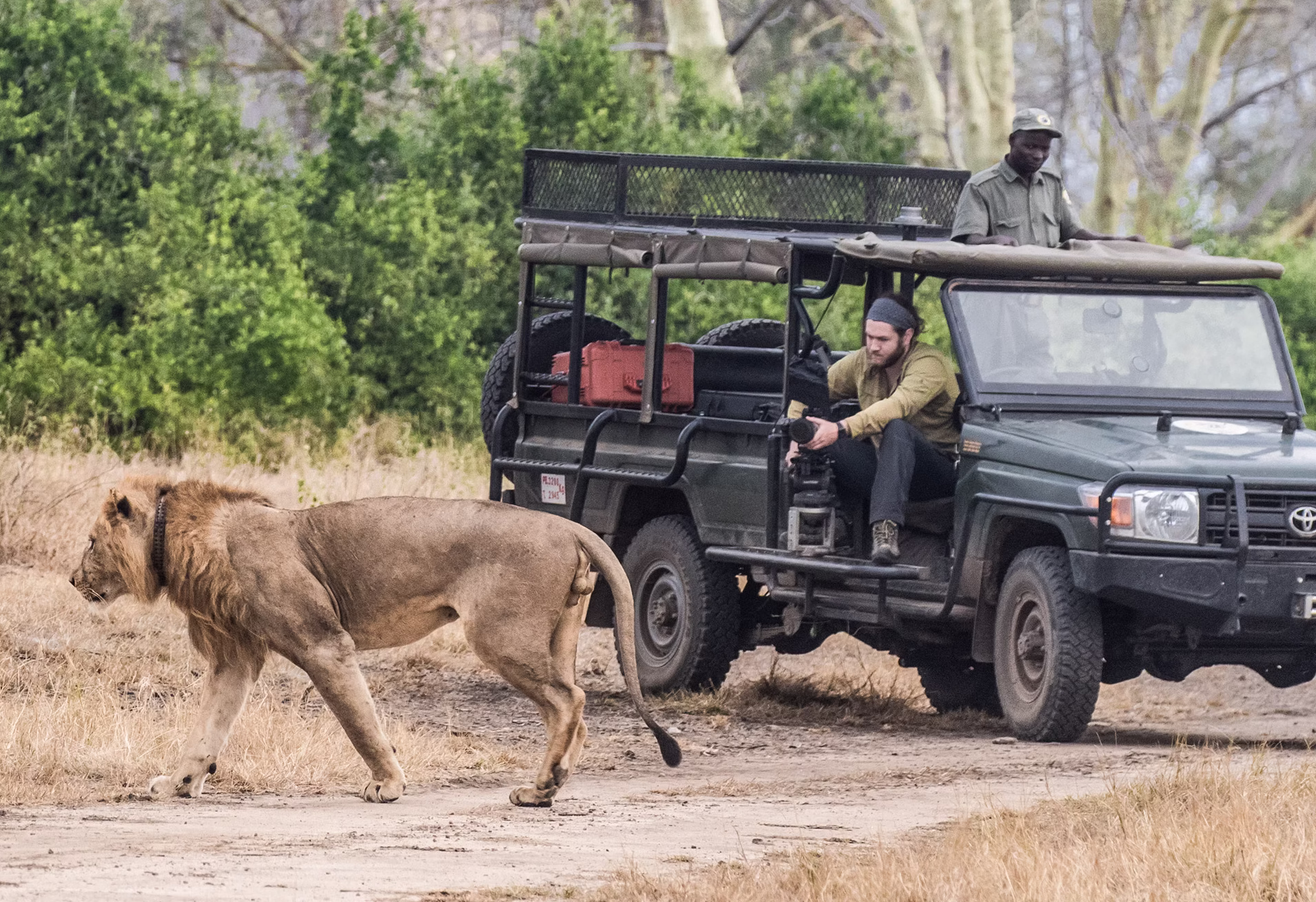Ecotourism Destinations in Africa 2025