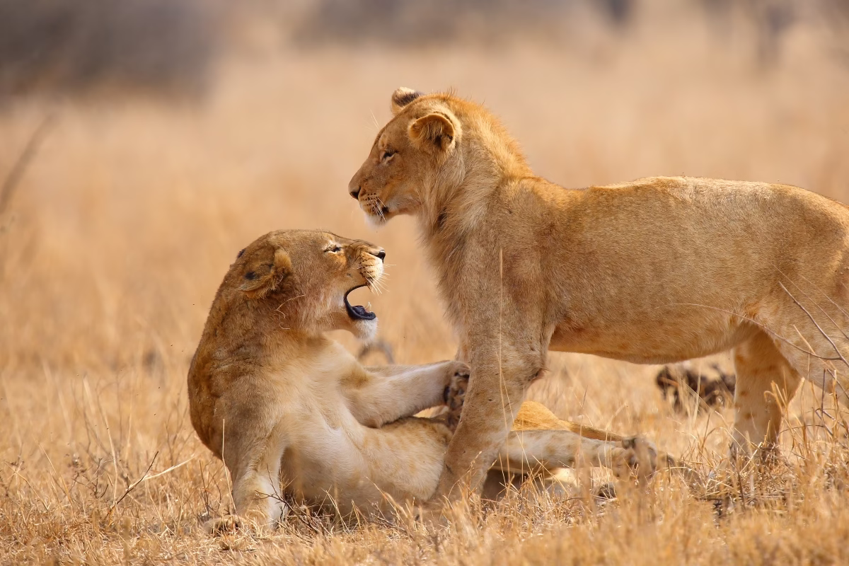 Easter Holiday in Africa