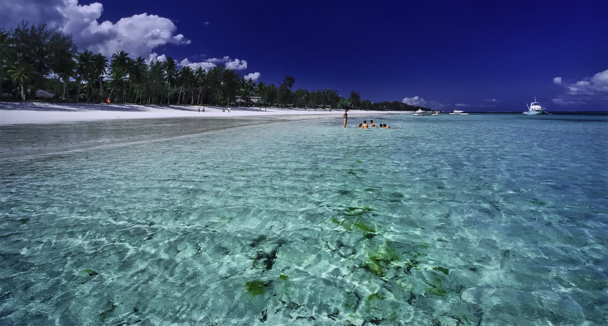 Reasons to Visit Kenya