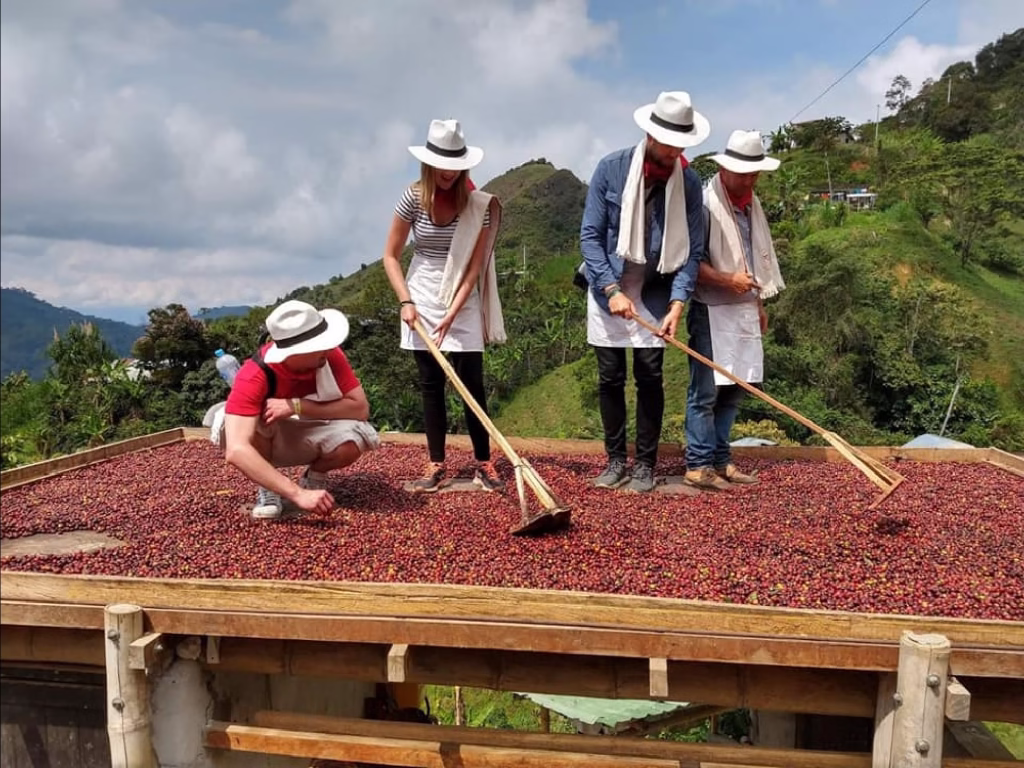 Coffee Tours in Rwanda