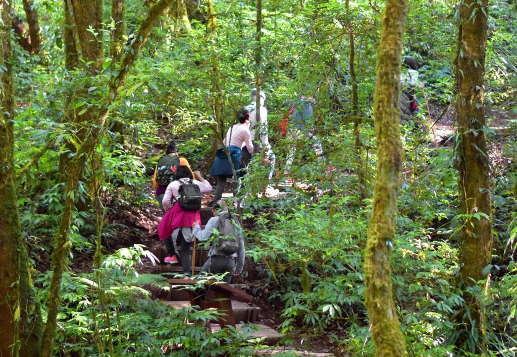 Uganda ecotourism experiences