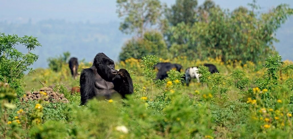 Underrated Eco-Adventure Destinations in Africa