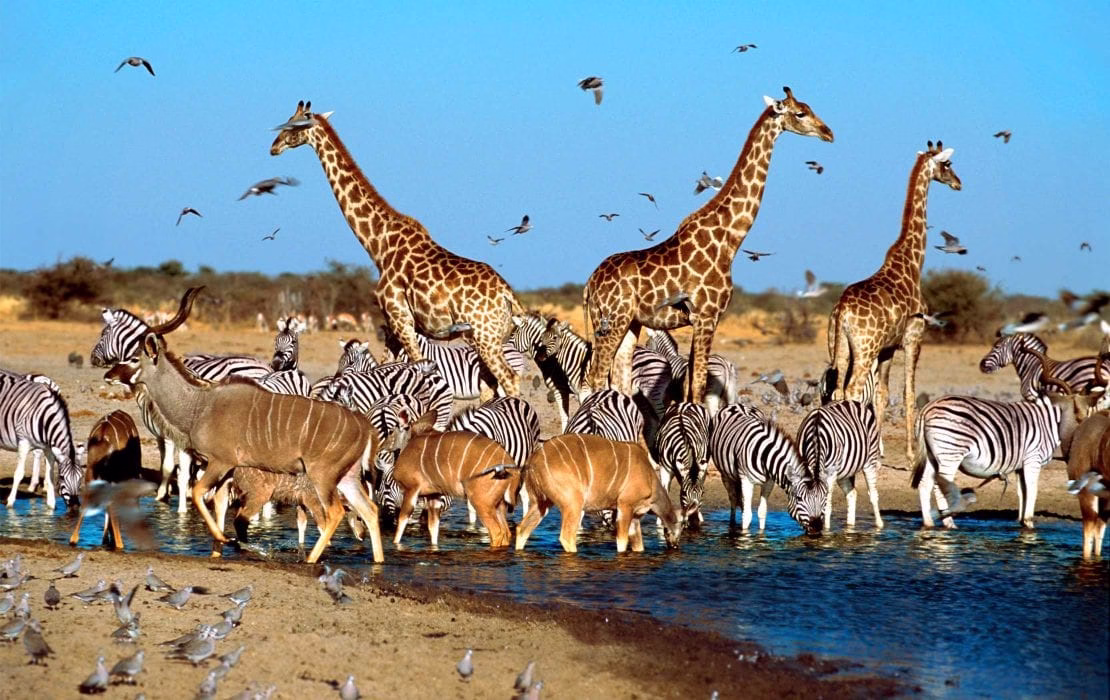 Malaria-Free Destinations