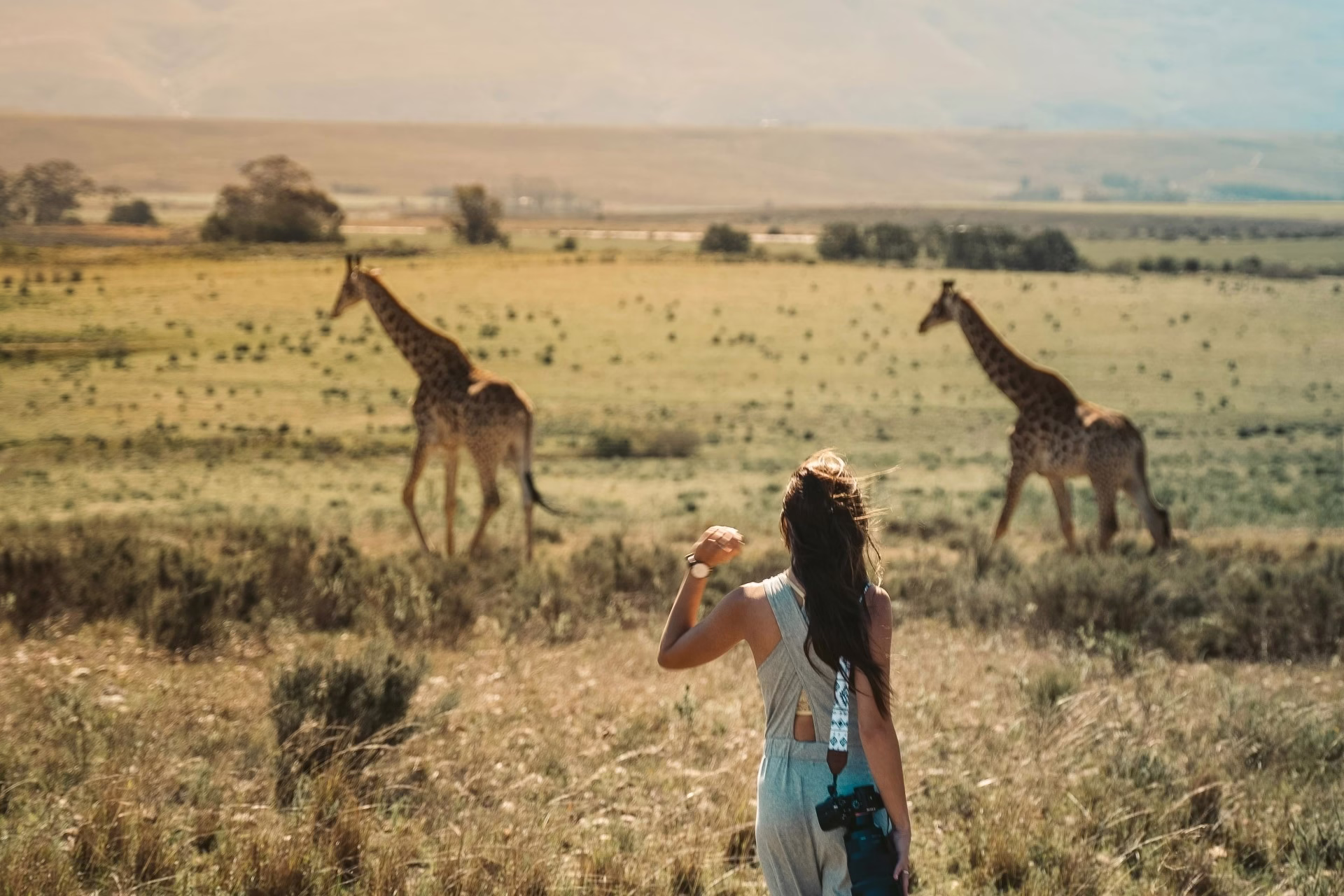 Wildlife Safari in Africa