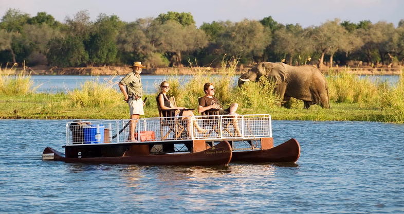Safari Adventure