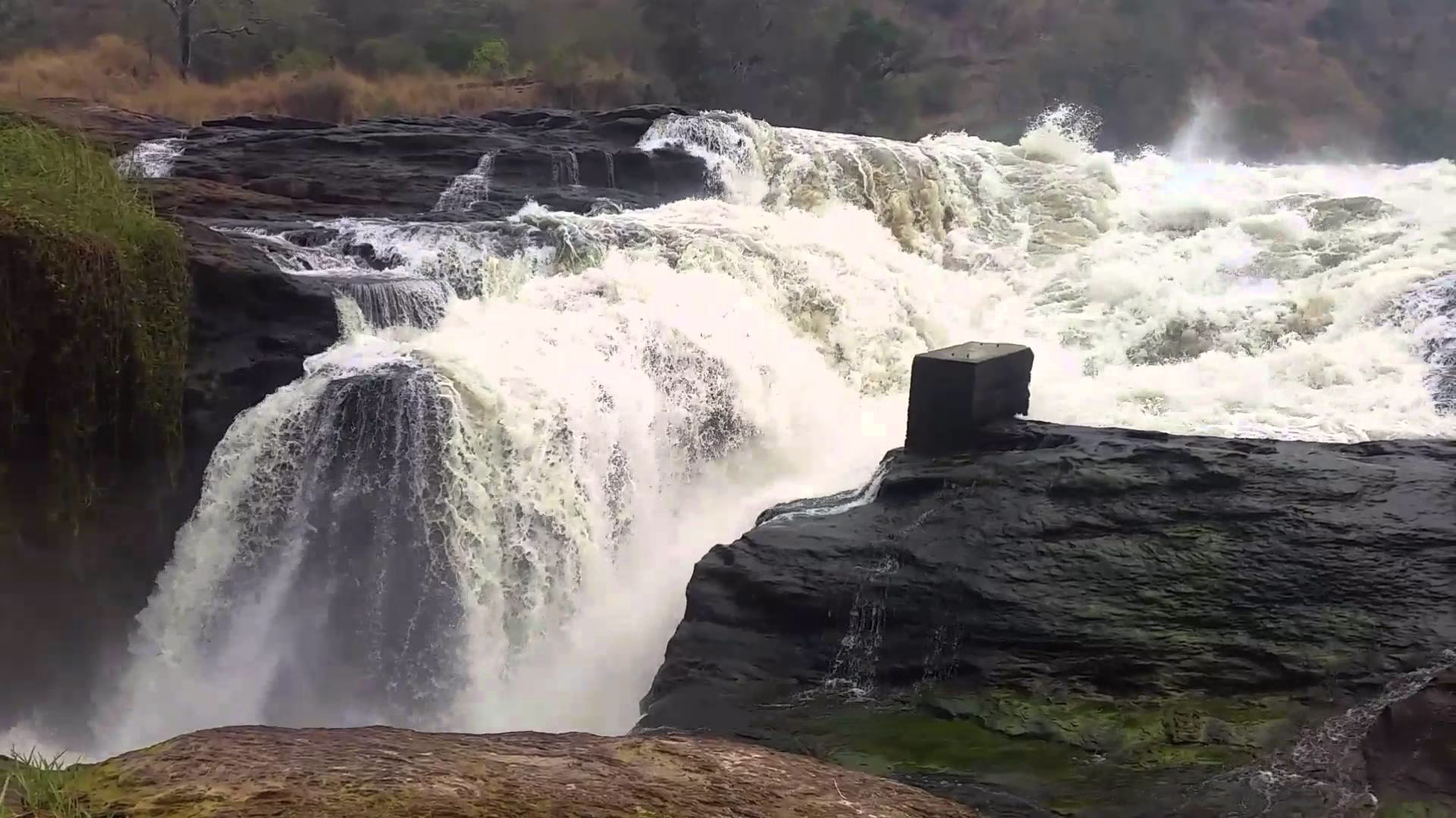 Murchison Falls National Park Travel Guide
