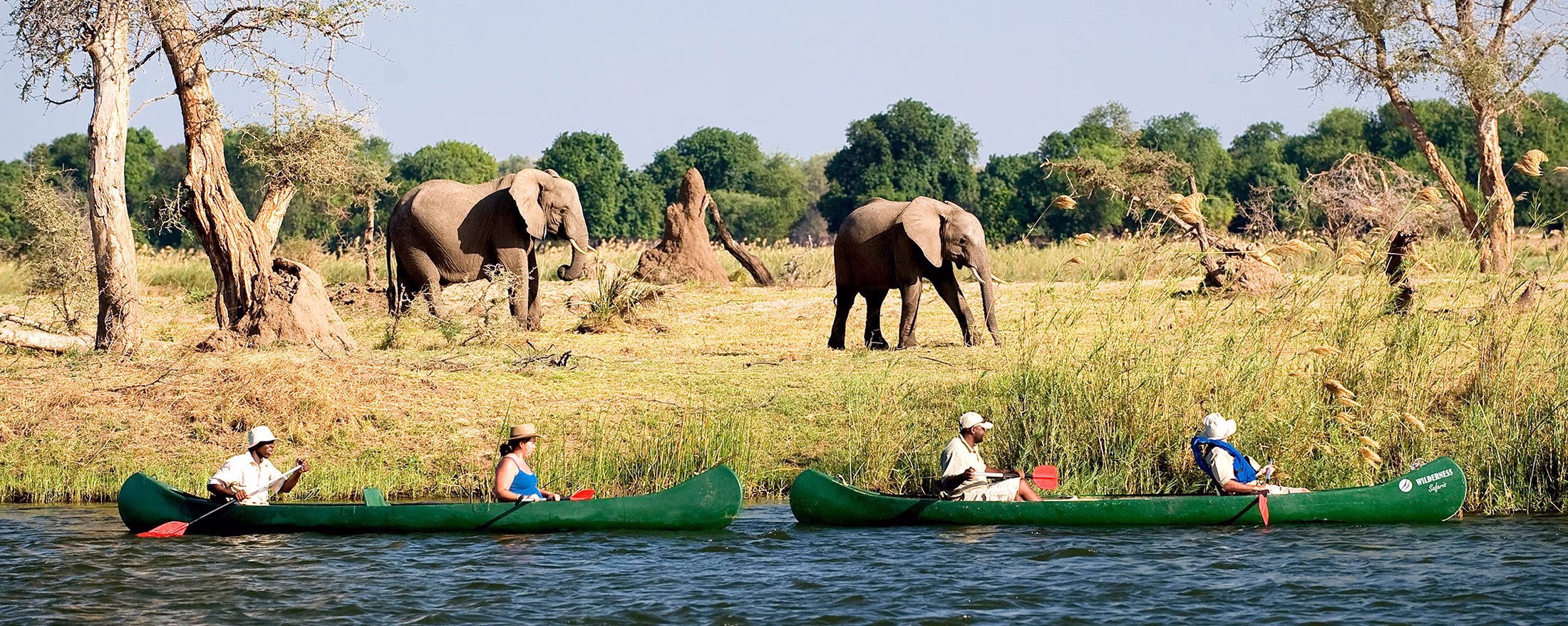 African Safari Tours in Zimbabwe