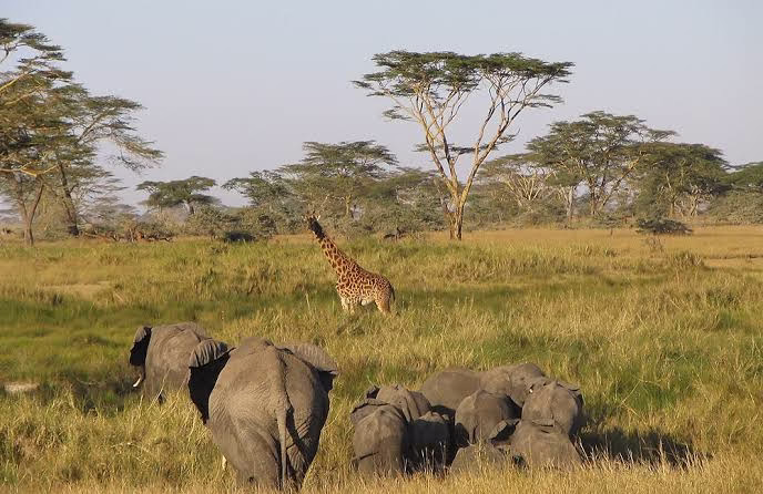 Upemba National Park