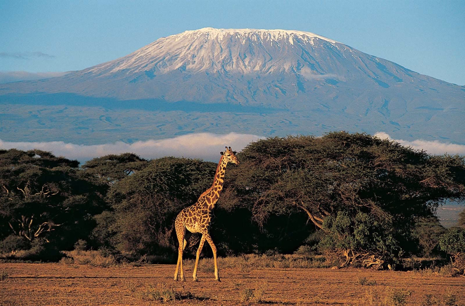 Facts about Mount Kilimanjaro