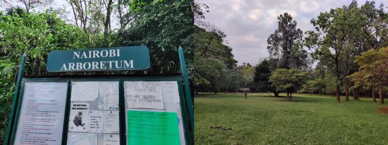 Nairobi Arboretum