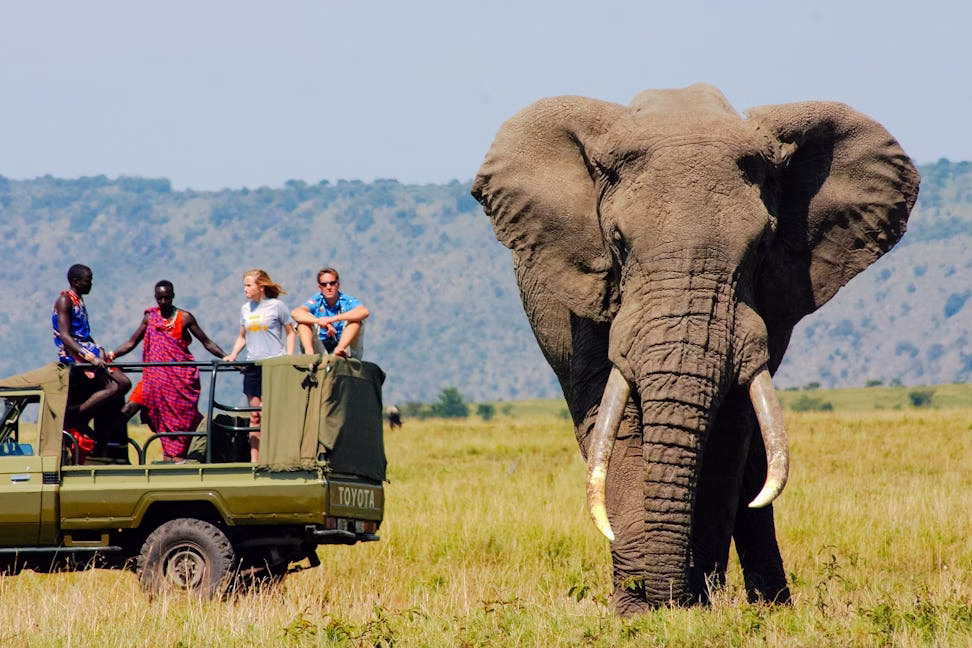 Big 5 Safari in Kenya