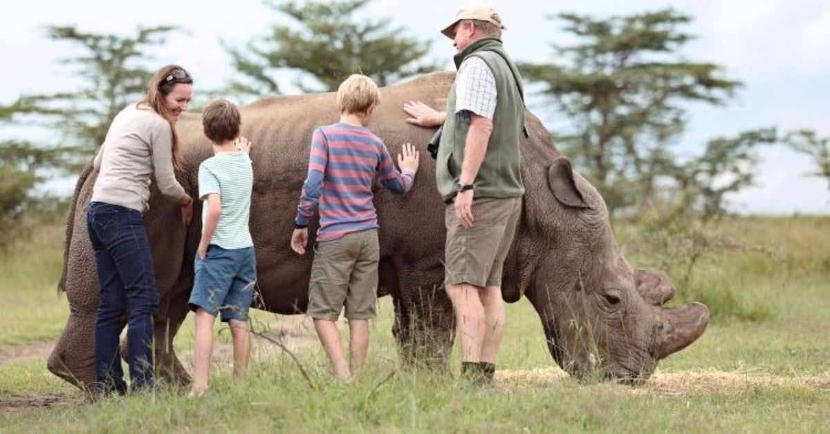 Best age for a family safari