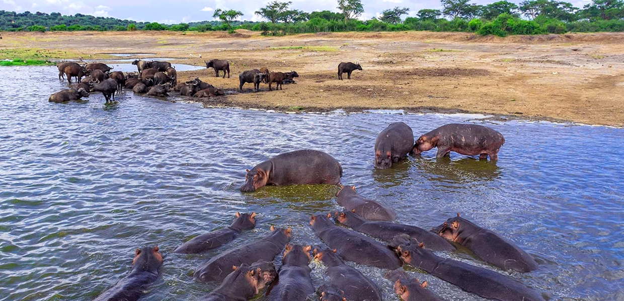 Lake Edward Uganda