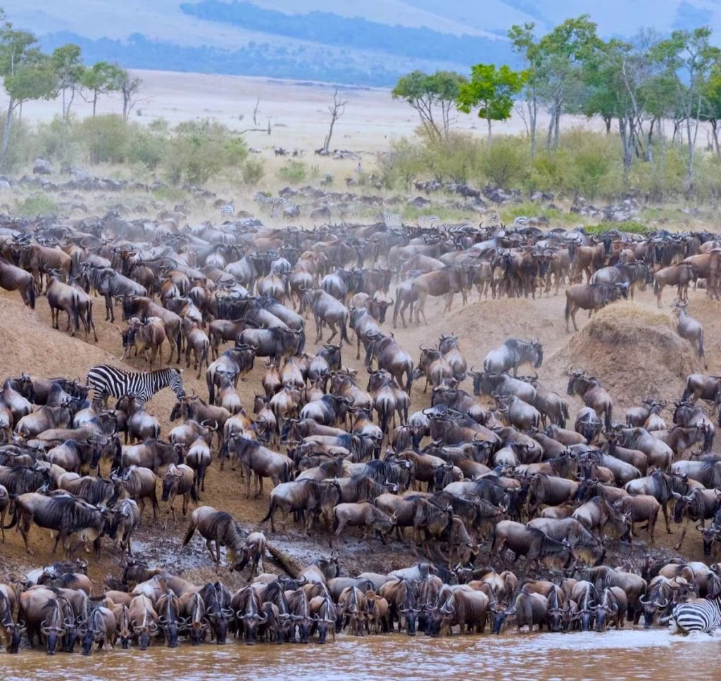 Tanzania travel guide