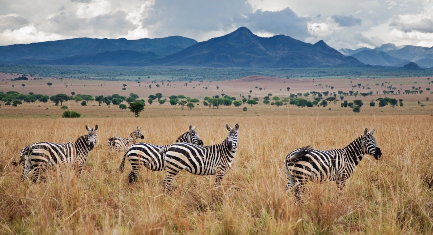 Karamoja Region