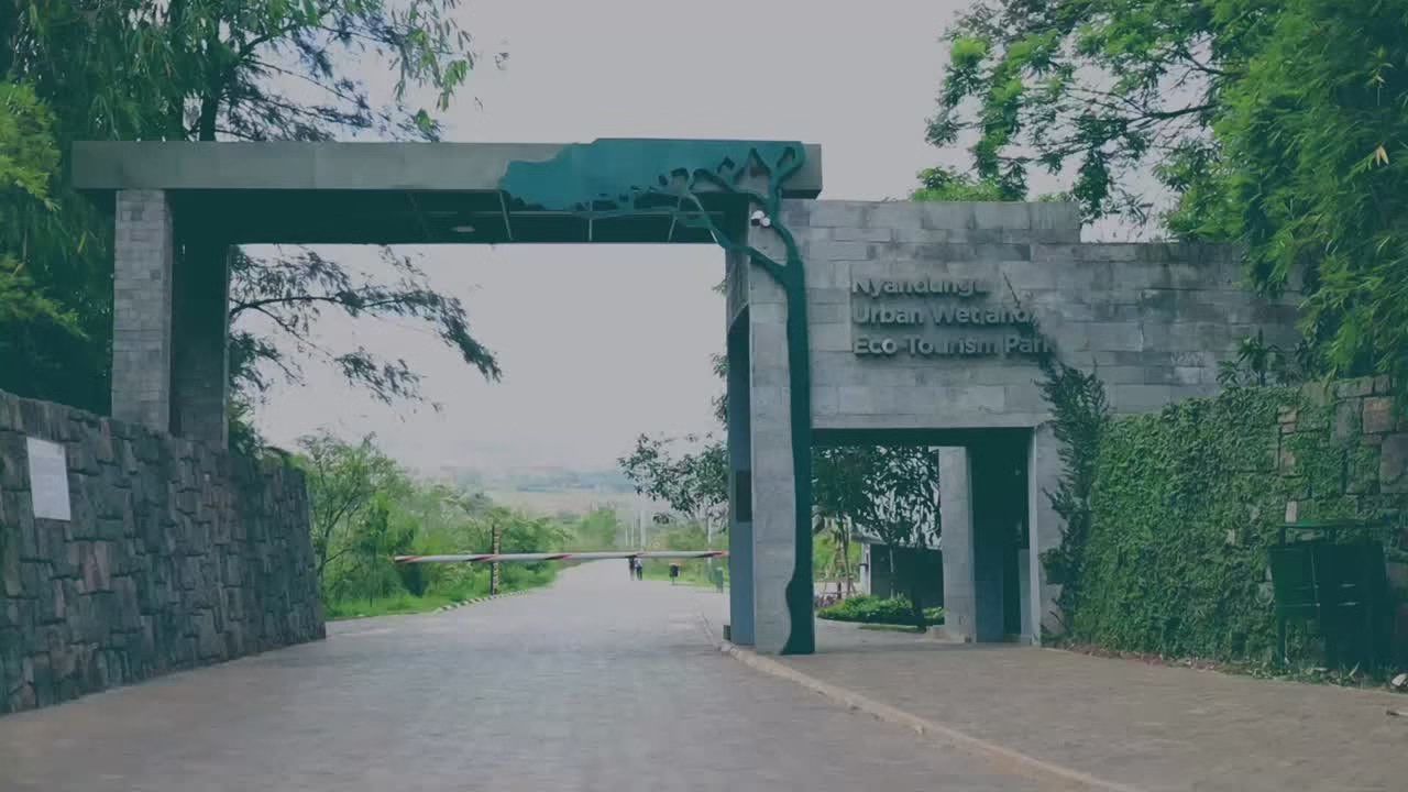 Nyandungu Eco-Park
