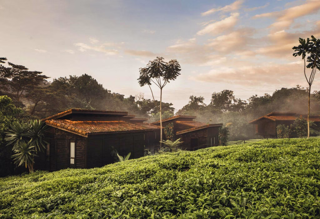 local communities around Nyungwe