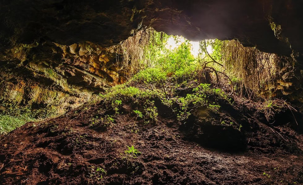 Musanze Caves
