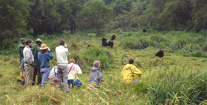 corporate retreats Uganda