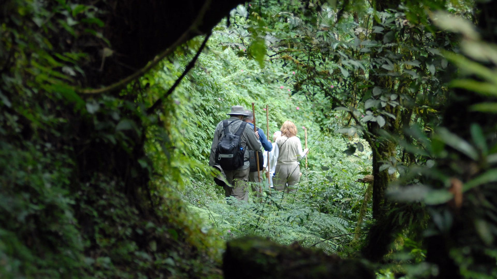3 Days Rwanda Gorilla Tour