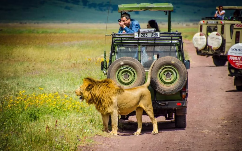 Size Up Africa Overland Safaris